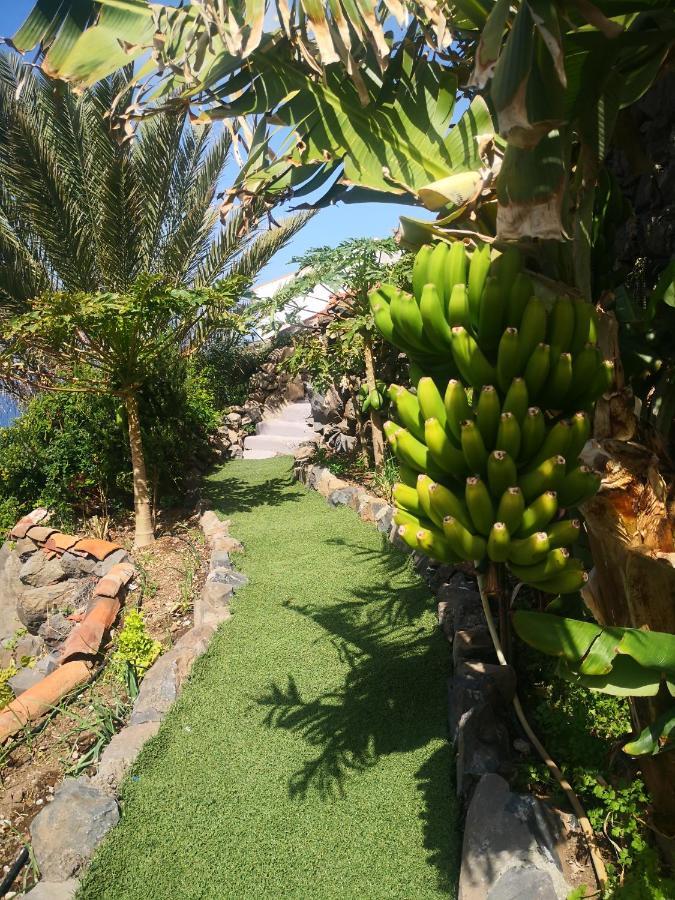Casa Rural Los Organos De Arguamul Vallehermoso Ngoại thất bức ảnh