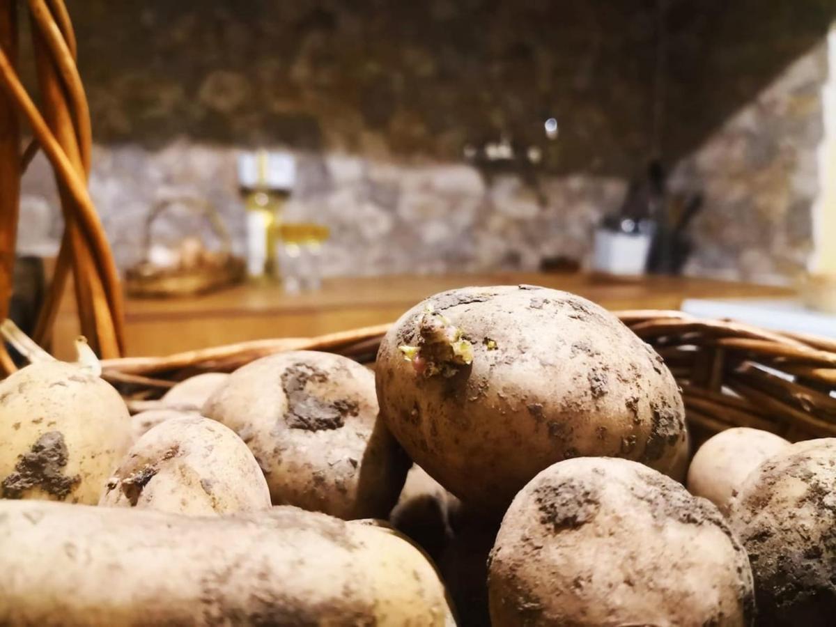 Casa Rural Los Organos De Arguamul Vallehermoso Ngoại thất bức ảnh