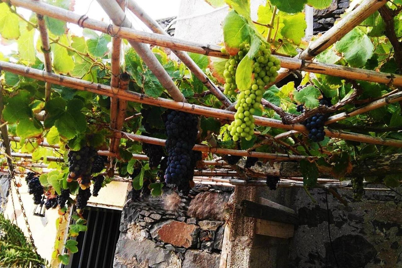 Casa Rural Los Organos De Arguamul Vallehermoso Ngoại thất bức ảnh